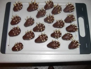 Igel - Familie - Rezept - Bild Nr. 2