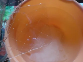 Quarksahnetorte - Rezept - Bild Nr. 13