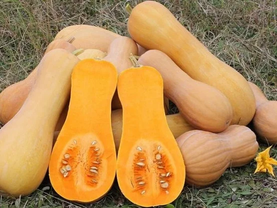 Kürbissuppe mit Jogurt - Rezept