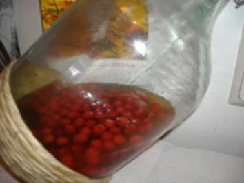 Rezept: Hagebutten - Likör Hagebutten - Likör - Rezept