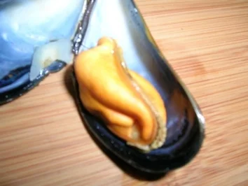 Muscheln (Rheinische Art) denn ... heute ist Freitag und somit Fischtag - Rezept - Bild Nr. 5