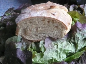 Joghurt-Brötchen - Rezept - Bild Nr. 4