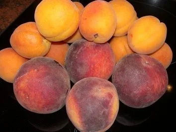 DESSERT: Pfirsich Melba - Rezept