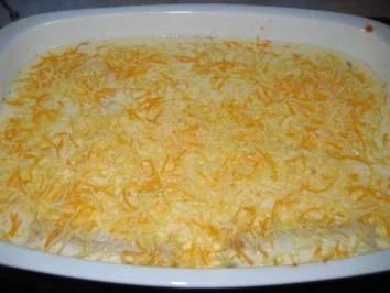 Cannelloni - Rezept - Bild Nr. 5