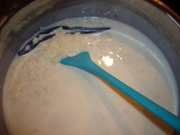 Kikis Aprikosen-Reiskuchen - Rezept - Bild Nr. 4