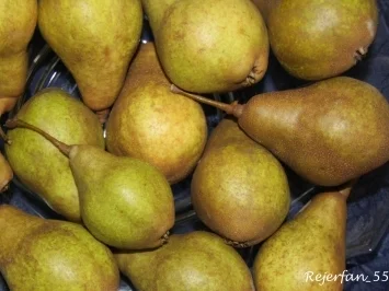 Rezept: Birnenkonfitüre mit kandiertem Ingwer und Schuss Bild Nr. 2 Birnenkonfitüre mit kandiertem Ingwer und Schuss - Rezept - Bild Nr. 2