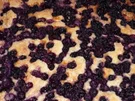 Heidelbeer-Buttermilch-Kuchen (Low Fat 30) - Rezept
