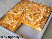 Aprikosendatschi - Rezept