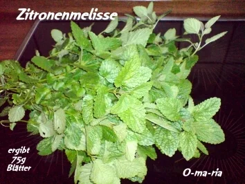 Rezept: Eingemachtes Trauben-Melisse-Gelee Bild Nr. 2 Eingemachtes Trauben-Melisse-Gelee - Rezept - Bild Nr. 2