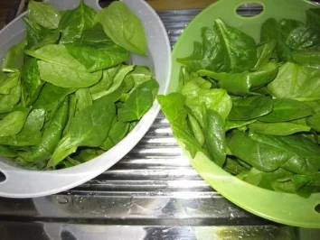 Schweinefilet auf frischem Paprika-Blattspinat - Rezept - Bild Nr. 3