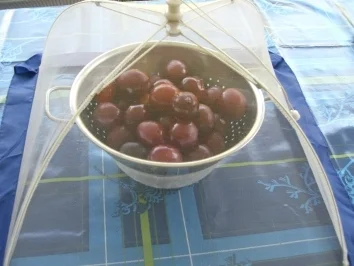 beschwipste Pflaumen - Rezept - Bild Nr. 5