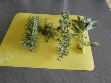 Rezept: Schweinebraten in Rotweinsoße mit gekochten ganzen roten Zwiebeln und Radieschen Bild Nr. 2 Schweinebraten in Rotweinsoße mit gekochten ganzen roten Zwiebeln und Radieschen - Rezept - Bild Nr. 2