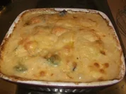 Aufläufe/ Überbackenes: Überbackener Broccoli - Rezept