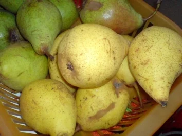 Rezept: Birnentorte Bild Nr. 7 Birnentorte - Rezept - Bild Nr. 7