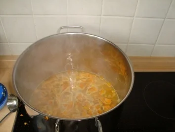 scharfe Kürbissuppe - Rezept - Bild Nr. 2