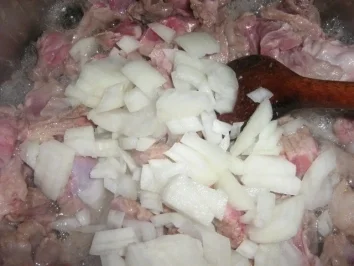 Misch Masch aus Leskovac - eine Art Gulasch - Rezept - Bild Nr. 3