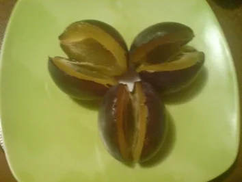 Rezept: Fingerfood "Pflaumen mit weißer Schokocreme" Bild Nr. 2 Fingerfood "Pflaumen mit weißer Schokocreme" - Rezept - Bild Nr. 2