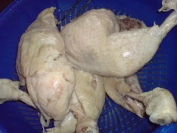 Rezept: Ragout fin Bild Nr. 6 Ragout fin - Rezept - Bild Nr. 6