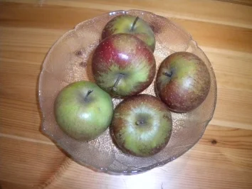 Felchenfilet - Rezept - Bild Nr. 3