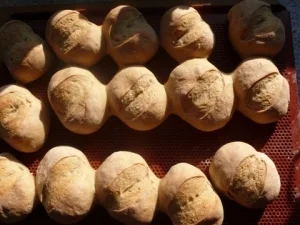 Pizzakatzes Frühstücksbrötchen zum Zweiten - Rezept - Bild Nr. 3