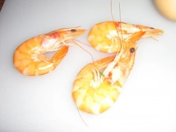 Crevetten in Fritata - Rezept - Bild Nr. 3