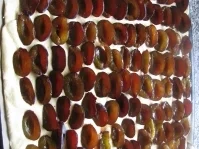 Zwetschen-Streusel Kuchen - Rezept - Bild Nr. 3