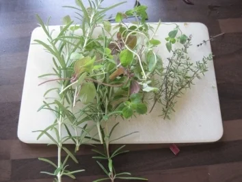 Gefüllte Gurke an Kürbispüree - Rezept - Bild Nr. 2