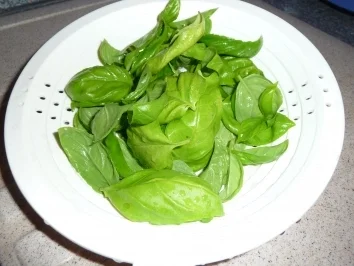 Rezept: Tomate-Mozzarella Bild Nr. 4 Tomate-Mozzarella - Rezept - Bild Nr. 4