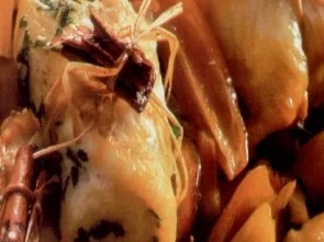 erster gang rotolini di sogliola alla spezie - Rezept