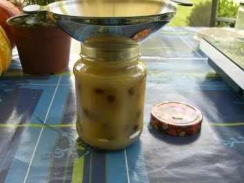 Bratapfelmarmelade - Rezept - Bild Nr. 6