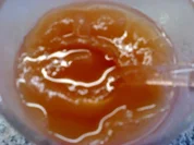 Apfel-Birnen Marmelade - Rezept