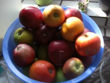 Kuchen- Apfeltorte nach Großmutters Rezept - Rezept