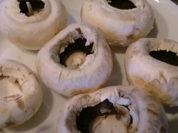 Champignons "fitter Prèsident" - Rezept - Bild Nr. 3