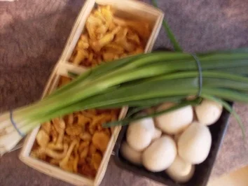 Jägerschnitzel-Auflauf - Rezept - Bild Nr. 2