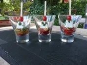 GLASFOOD 2 :ZIEGENKÄSE AUF MANGOSALSA - Rezept