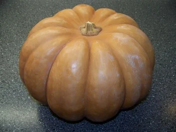 Gemüse - Ofenkürbis - Rezept