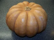 Gemüse - Ofenkürbis - Rezept