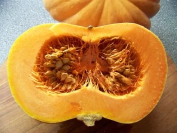 Gemüse - Ofenkürbis - Rezept - Bild Nr. 2