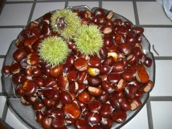 Inges Herbstmenü - Maronen und Federweiser (neuer Wein) - Rezept - Bild Nr. 2