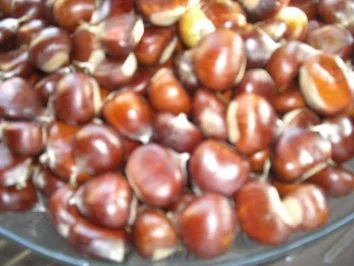 Inges Herbstmenü - Maronen und Federweiser (neuer Wein) - Rezept - Bild Nr. 3