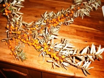 Sanddorn marmelade mit weißen Rum   "Vitamin C Bombe pur" - Rezept