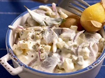 Eingelegter Matjes - Rezept