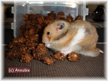 Tierbedarf - Bananenkekse für Nagetiere - Rezept