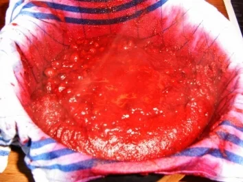 Schehengelee - Rezept - Bild Nr. 2