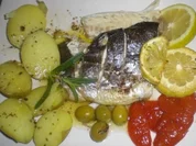 Dorade mit Kräutern und Weißwein - Rezept