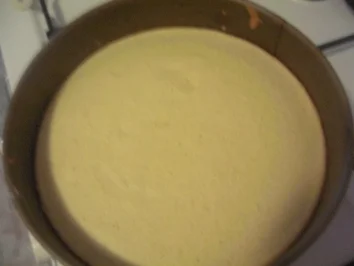 Weihnachtlicher Biskuitboden - Rezept