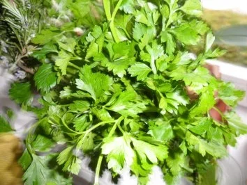 Wiesnhendl - Rezept - Bild Nr. 3