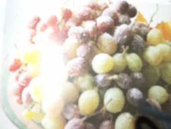 Rezept: Eisgekühlte Vanilleweintrauben Eisgekühlte Vanilleweintrauben - Rezept