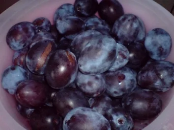 Pflaumenkuchen mit Zimtstreuseln - Rezept - Bild Nr. 3