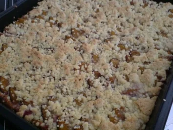 Pflaumenkuchen mit Zimtstreuseln - Rezept - Bild Nr. 17